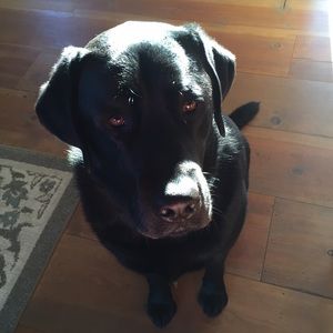 Meet your Posher, Natalie