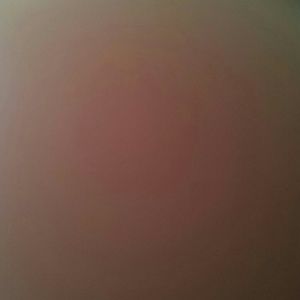 Meet your Posher, Janeth