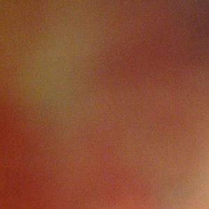 Meet your Posher, Ellen