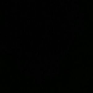 Meet your Posher, Lexie