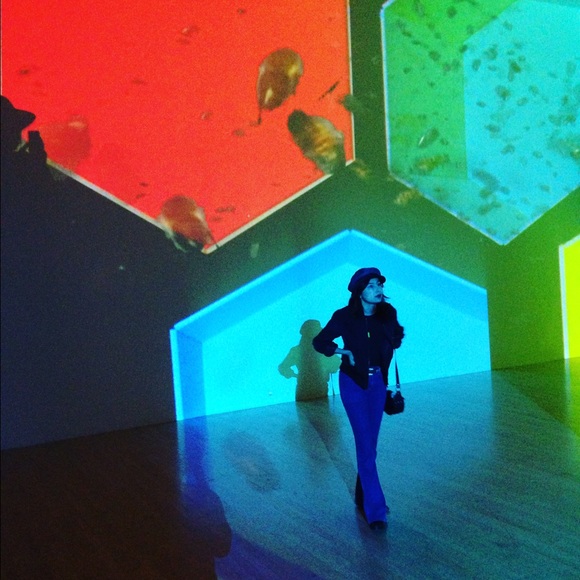 Meet your posher - Picture 2 of 2