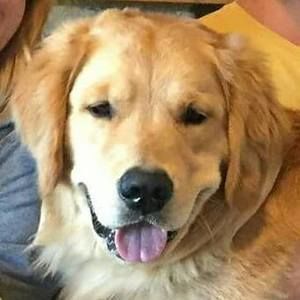 Meet your Posher, Bryana