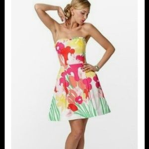 Final Price! Lilly Pulitzer Blossom dress