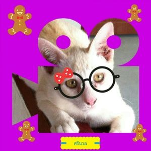 Meet your Posher, Geno