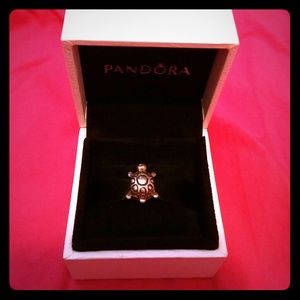 Pandora Turtle Charm