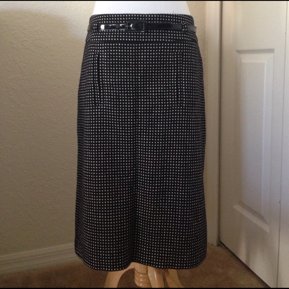 Ann Taylor Pencil Skirt 🍁