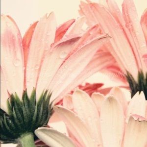 Meet your Posher, Cristine