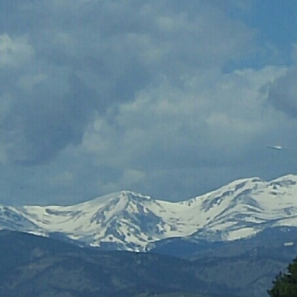 Meet your Posher, Holly - Picture 2 of 2