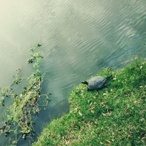 Meet your Posher, Denisse