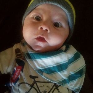 Meet your Posher, Holly