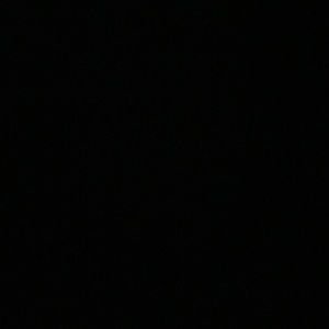 Meet your Posher, Shelly