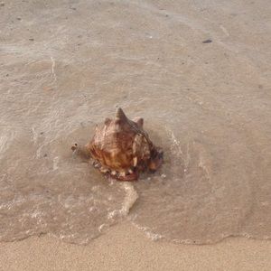 Meet your Posher, Marisol