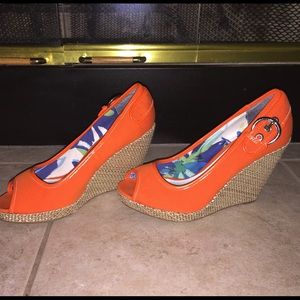 Cute orange wedges