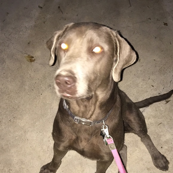 Meet your Posher, Sami