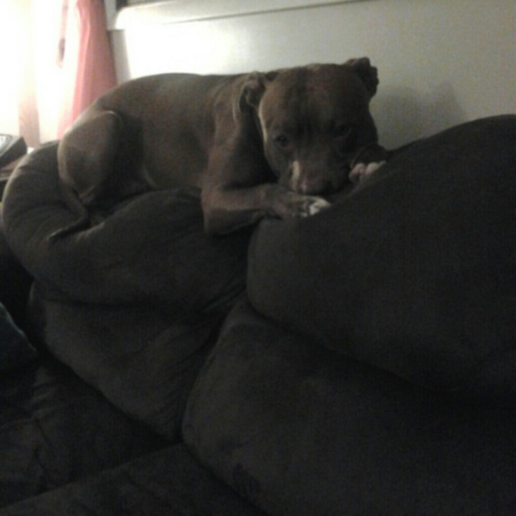 Meet your Posher, Donnie - Picture 1 of 1