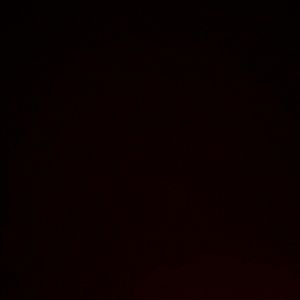 Meet your Posher, Lily