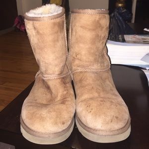 Ugg Boots-Short in Chestnut