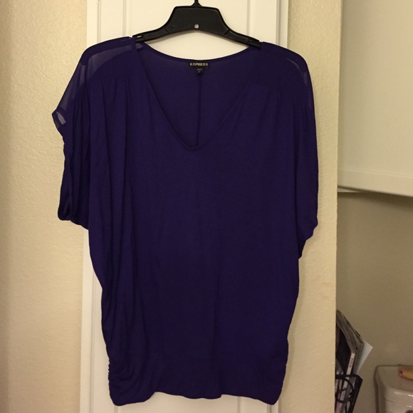Purple v neck top, sheer panels