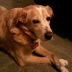 Meet your Posher, Janell