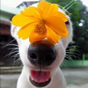 Meet your Posher, Kenzy