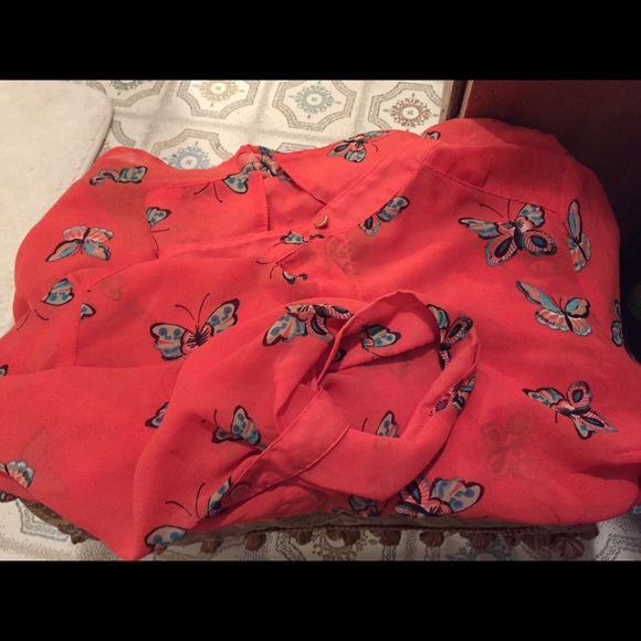 Bundle - Picture 2 of 4