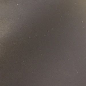 Meet your Posher, Lily