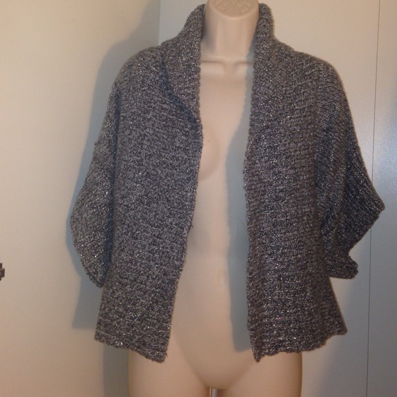 EXPRESS GRAY SILVERY SWEATER