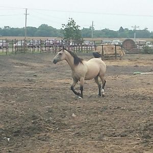 Meet your Posher, Joann