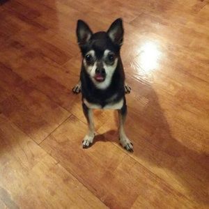 Meet your Posher, James