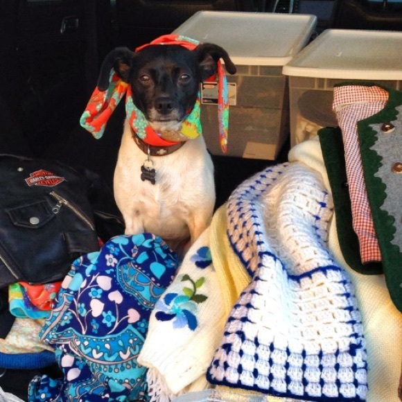 Meet my assistant Riley Monki! - Picture 2 of 4