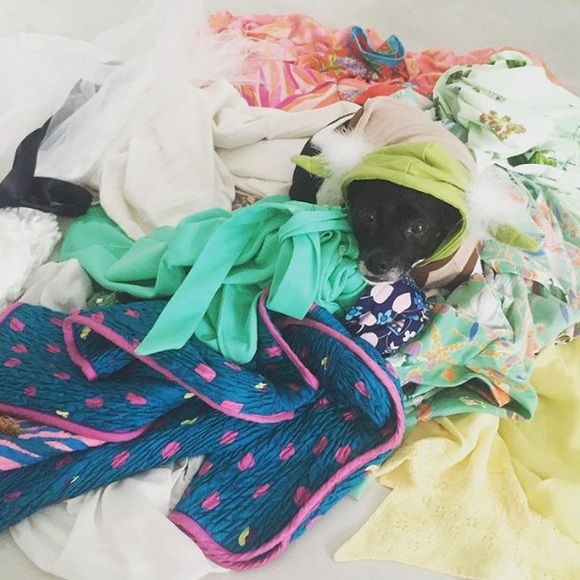 Meet my assistant Riley Monki! - Picture 3 of 4