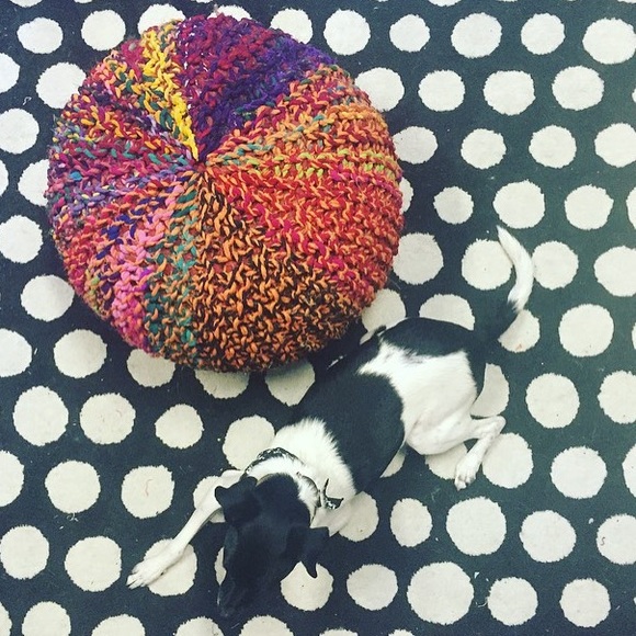 Meet my assistant Riley Monki! - Picture 4 of 4