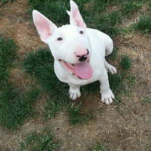 Meet your Posher, Kasie