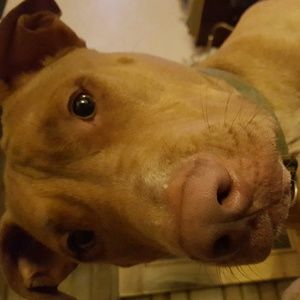 Meet your Posher, Michele