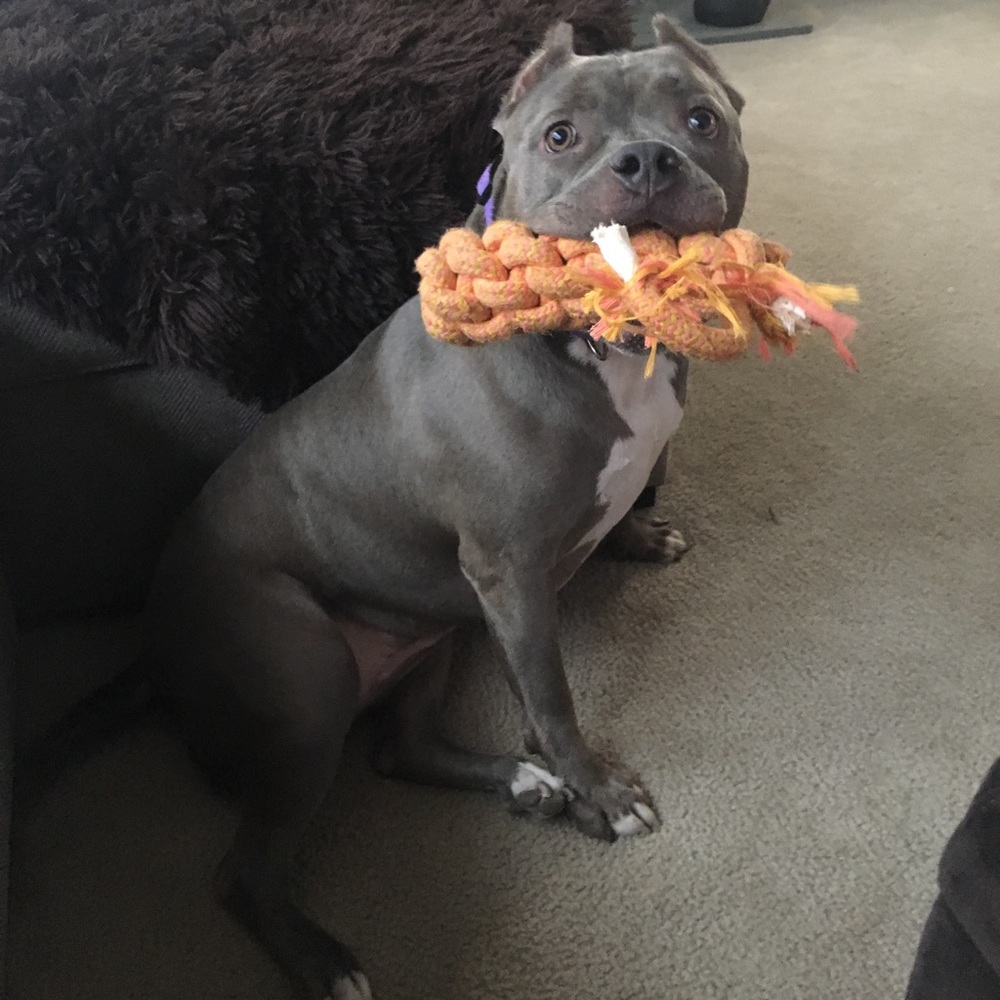 Meet your Posher, Erika