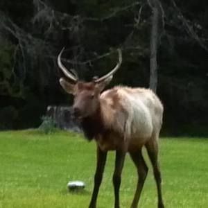 Meet your Posher, Alan