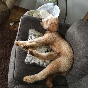 Meet your Posher, Erin