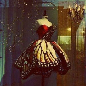 Meet your Posher, Jill