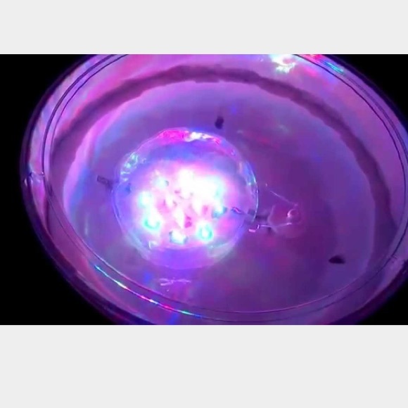 SOLD - Picture 4 of 4