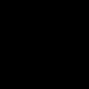 Meet your Posher, Chyna