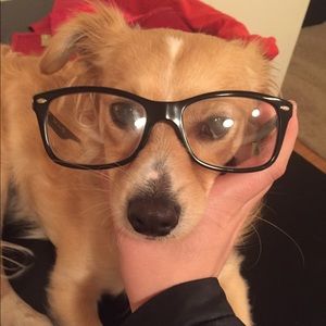 Meet your Posher, Maddy