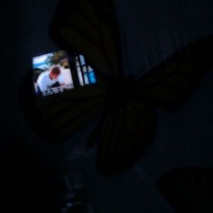 Meet your Posher, Sue