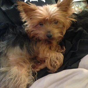 Meet your Posher, Katrina