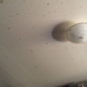 Meet your Posher, Dylan