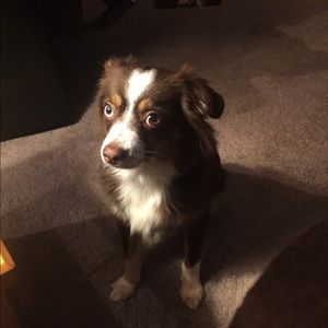 Meet your Posher, Kimberly