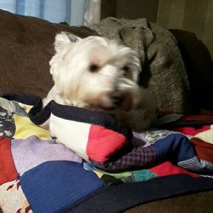 Meet your Posher, Debi