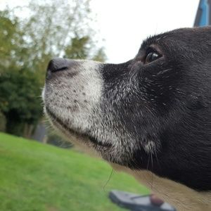 Meet your Posher, Ernest