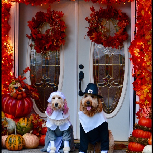 Happy Thanksgiving!!!!