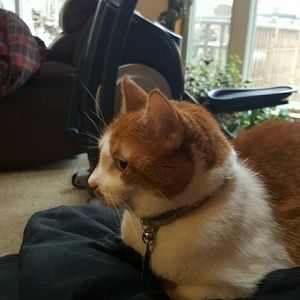 Meet your Posher, Jesse