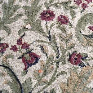 Meet your Posher, Jane